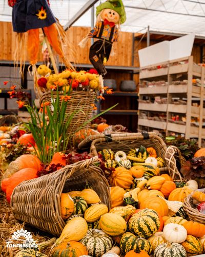 Potirons et coloquintes dans un décor automnal avec épouvantail et panier en osier.
